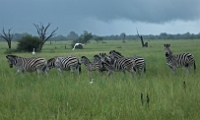 southafrica078