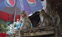 cambodia066