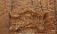 petra047
