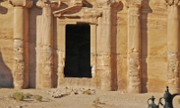 petra086